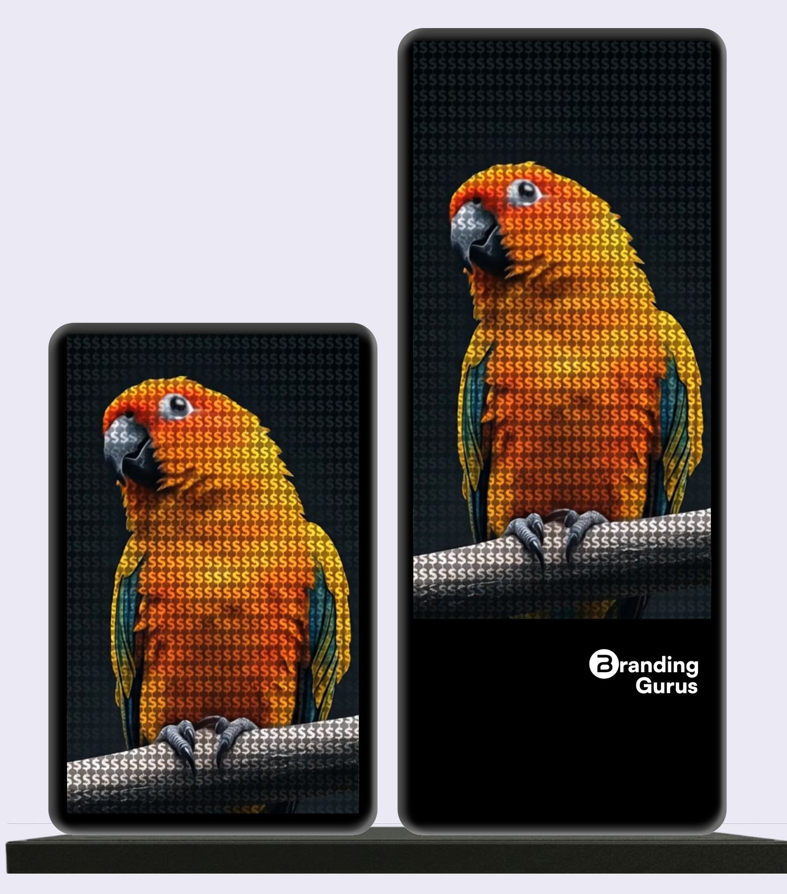 Branding Gurus DOOH kiosk screens